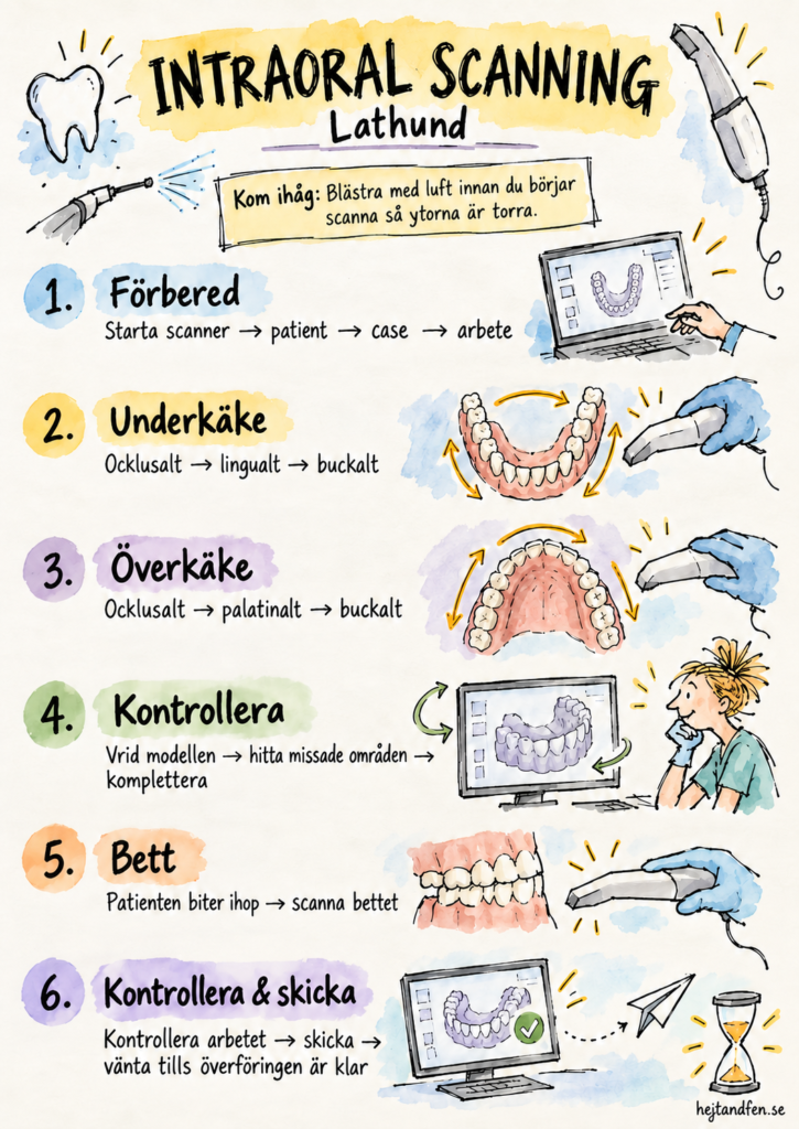 Intraoral scanning lathund för tandsköterskor med steg för förberedelse, scanning av underkäke och överkäke, kontroll av modellen, bettscanning och skickning.