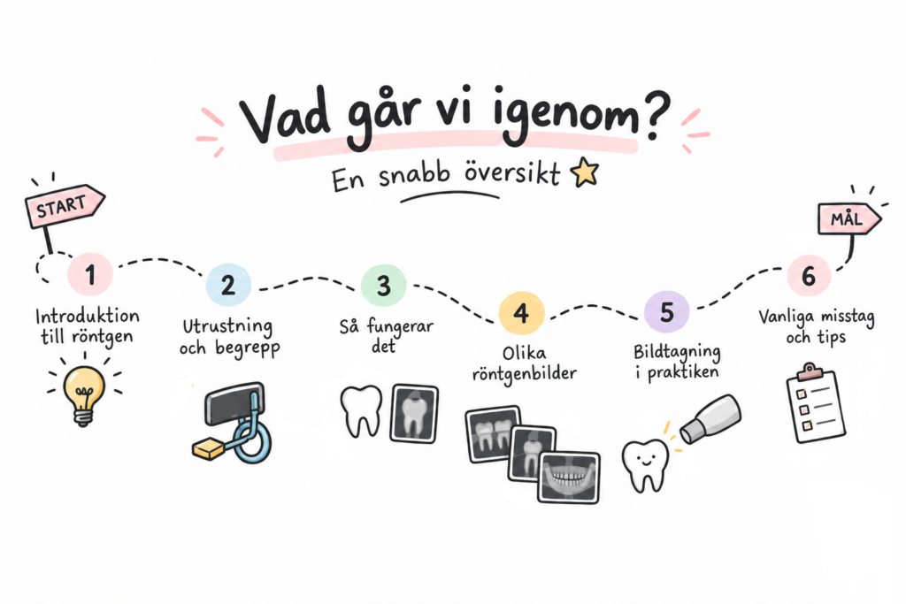 Röntgen inom tandvården – illustrerad innehållsöversikt med en slingrande väg som visar guidens olika avsnitt, från utrustning och bildtyper till bildtagning, vanliga misstag och praktiska tips.
