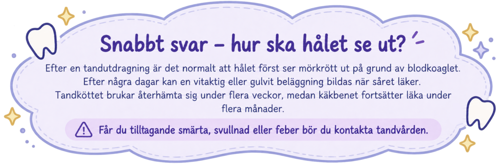 Hur ska hålet se ut efter tandutdragning? Illustration som förklarar normalt blodkoagel, vitaktig beläggning, sårläkning och varningstecken som smärta, svullnad och feber.